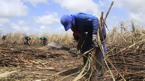 Participação do interior no PIB de Alagoas supera a capital, aponta IBGE - Imagem