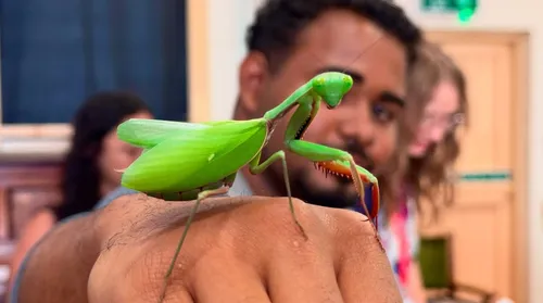 Alunos alagoanos exploram história natural em museu na Inglaterra - Imagem