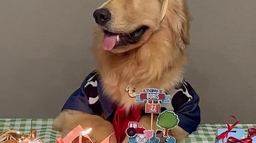 “Auniversário” e “Gativersário”: a moda das festas para pets - Imagem