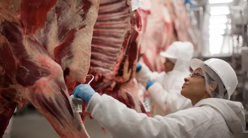 Exportação de carne bovina do Brasil bate novo recorde em setembro - Imagem