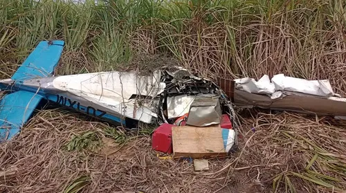 PF investiga queda de avião em AL com 200 kg de cocaína - Imagem