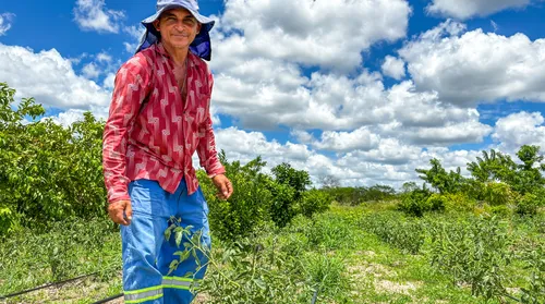 Valor da produção agrícola de AL atinge R$ 4 bilhões pela primeira vez na história - Imagem
