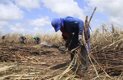 Participação do interior no PIB de Alagoas supera a capital, aponta IBGE
