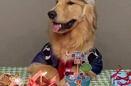 “Auniversário” e “Gativersário”: a moda das festas para pets