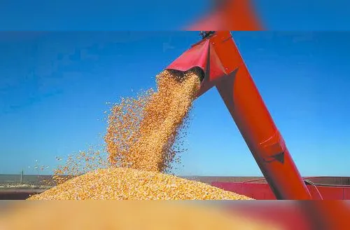 Brasil terá produção recorde de grãos na safra 2024/2025