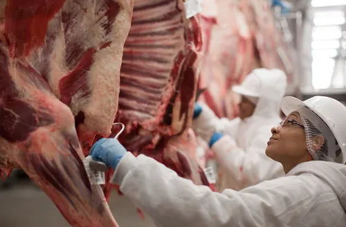 União Europeia suspende importação de carnes, ovos e mel oriundos do Brasil