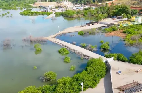 MPF dá prazo de 30 dias para Braskem apresentar projeto de recuperação de mangues