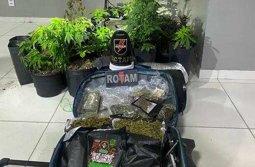 Polícia descobre laboratório de drogas e plantio de maconha