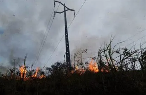 Queimadas próximas à rede elétrica caem 83% em Alagoas, mas ainda causam prejuízos