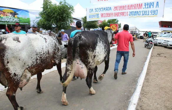 Expo Bacia Leiteira chega à 42ª edição com programação voltada à agricultura familiar