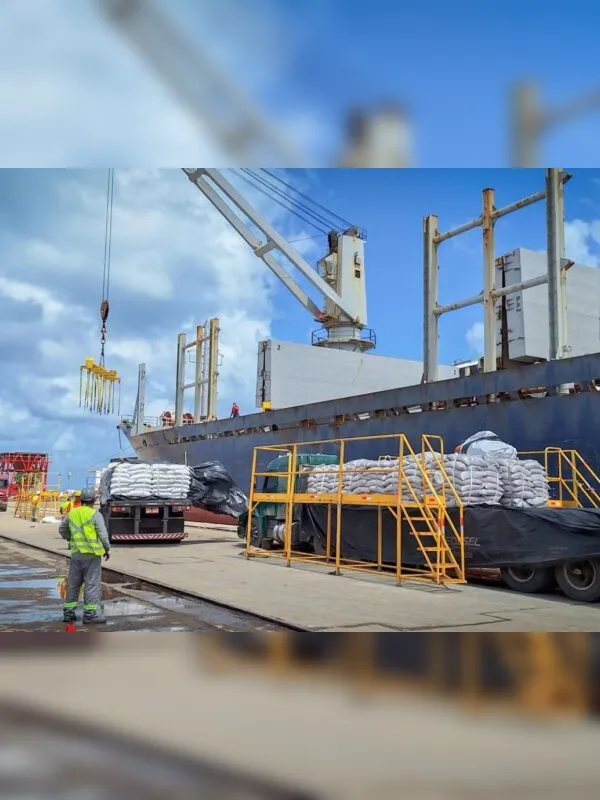 Exportações do Estado avançam mais de 40% e somam R$ 390 milhões