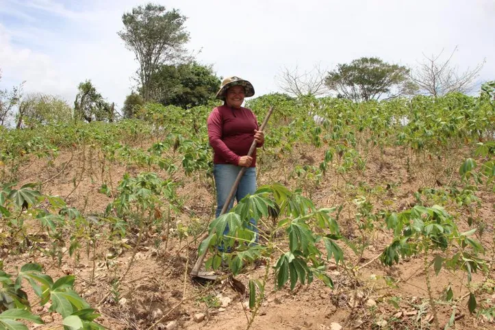 Imagem ilustrativa da imagem Agricultores familiares já podem se inscrever no Garantia-Safra 2025/2026