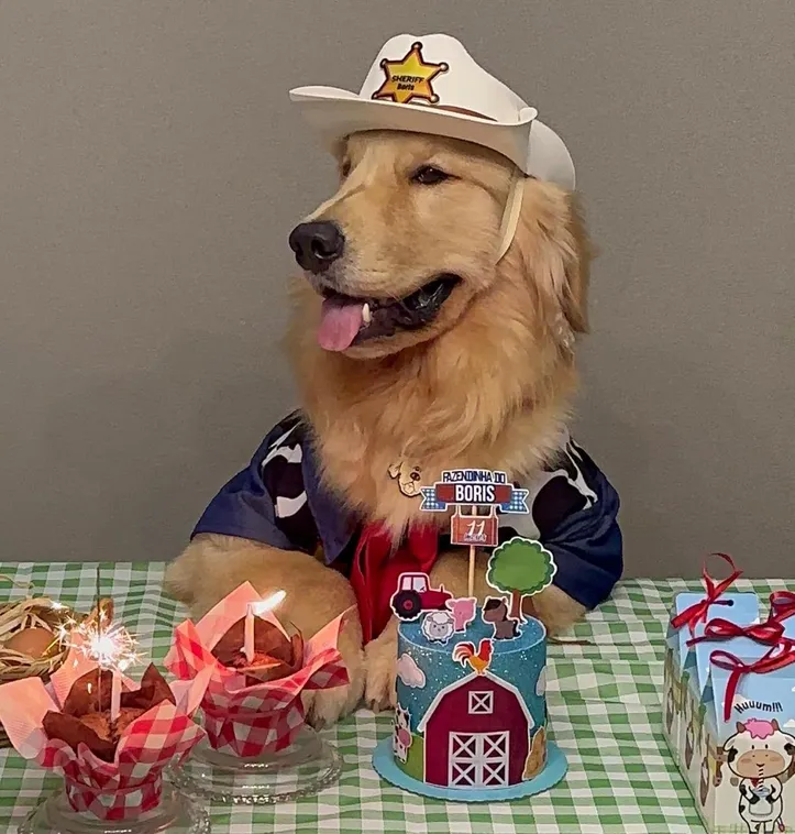 Imagem ilustrativa da imagem “Auniversário” e “Gativersário”: a moda das festas para pets