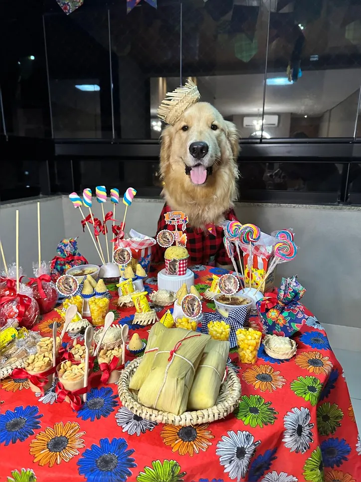 Imagem ilustrativa da imagem “Auniversário” e “Gativersário”: a moda das festas para pets