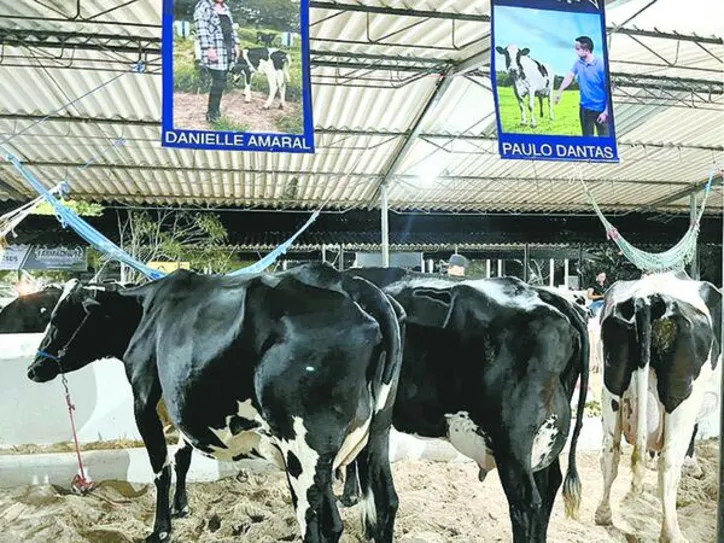 Encontro deve contar com mais de 400 animais da Bacia Leiteira e de estados vizinhos