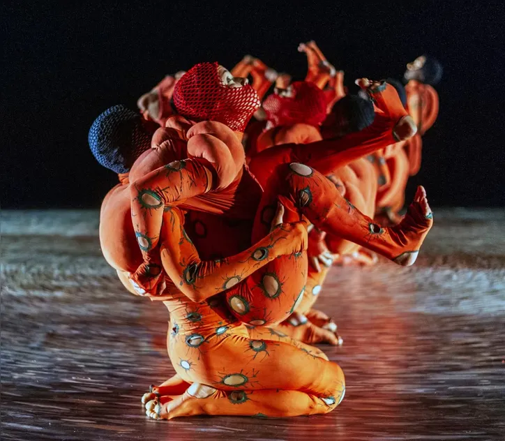 Imagem ilustrativa da imagem Cia. de Dança Deborah Colker apresenta 'Sagração' em Maceió nesta sexta e sábado