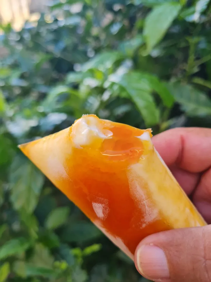 Produtos da Ngourmet fazem sucesso em todos os ambientes