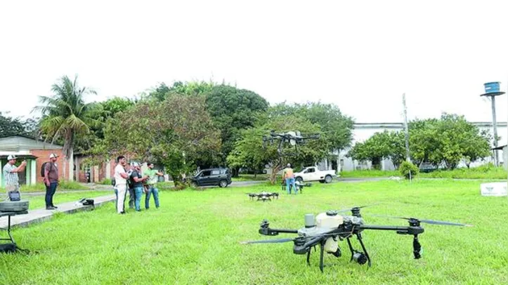 Empresa, que já formou cerca de 80 alunos desde 2023, promoveu capacitação com prática de voo a campo no Ceca/Ufal, em Rio Largo