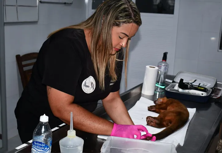 Animais recebem toda a atenção e cuidados necessários para o bem-estar
