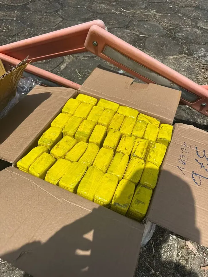 Tabletes de maconha foram achados escondidos no veículo