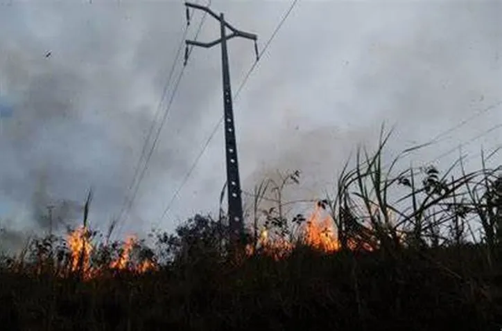 Queimada na rede elétrica
