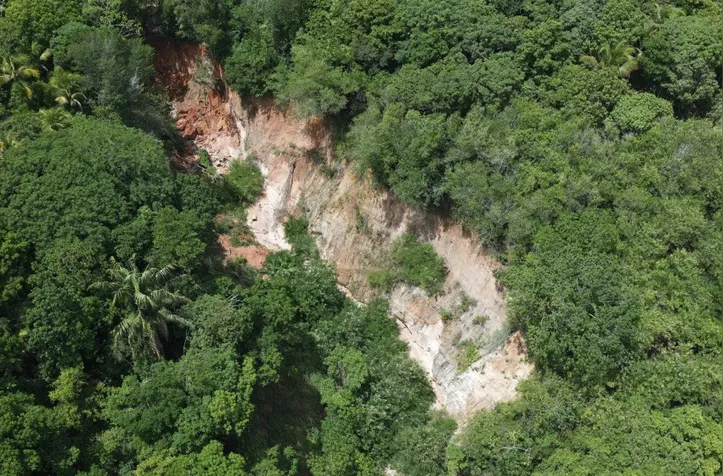 Principais fatores que contribuem para a instabilidade do solo são a ocupação desordenada e a retirada da cobertura vegetal