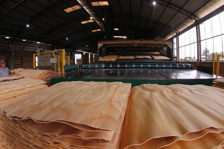 Linha de produção de indústria do setor de madeira no Paraná