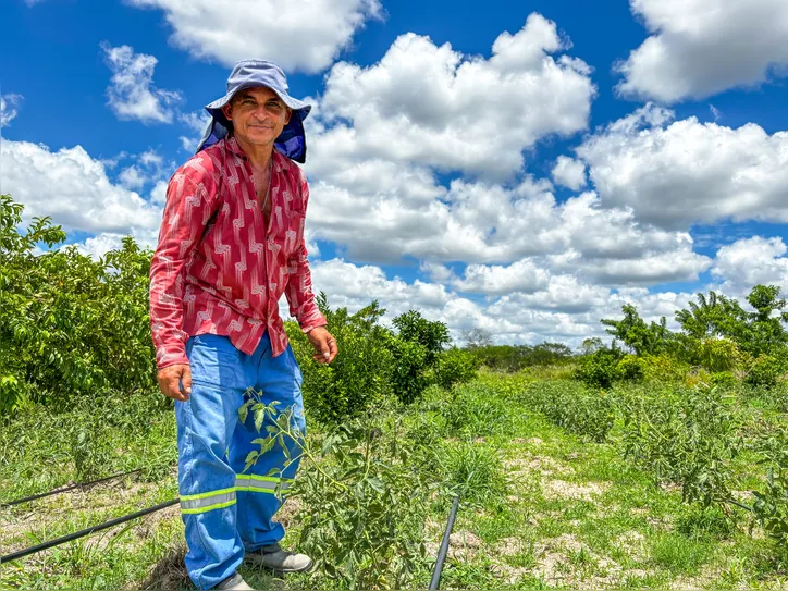 Agricultura familiar fortalece produção em Alagoas