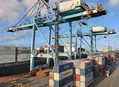 5 dos 10 produtos mais prejudicados por tarifa dos EUA conseguiram redirecionar exportações
