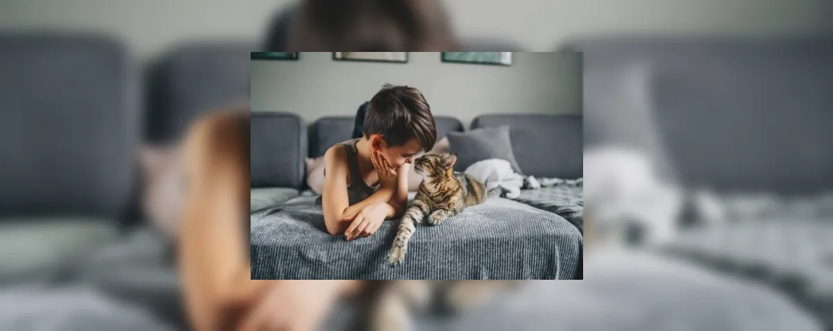 Entenda o que conviver com um gato faz com o seu cérebro e com o dele