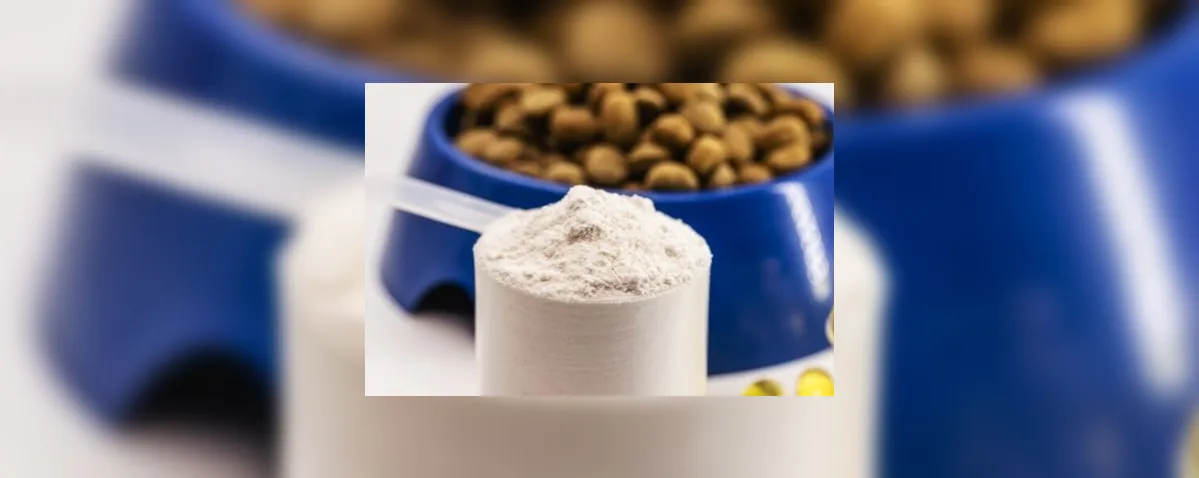 Whey protein também é para pets? Veterinário explica o uso e riscos