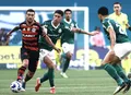 Flamengo x Palmeiras é destaque na luta pela liderança do Brasileiro