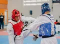 Marcelo TKD Team: novo ciclo impulsiona taekwondo em AL
