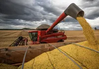 Brasil terá recorde na exportação de soja mesmo com acordo entre China e EUA imagem