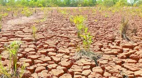 Bioinsumo amplia restauração ecológica de solos com uso de microrganismos