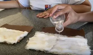 Estudantes de Maceió criam fralda biodegradável feita de coco e cana-de-açúcar