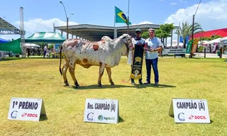 Expoagro 2025 foca em inovação e protagonismo no agronegócio do Nordeste