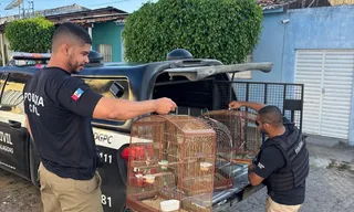 Operação prende 35 pessoas em ação contra o crime organizado