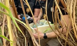 Operação prende quatro suspeitos de crimes em Penedo