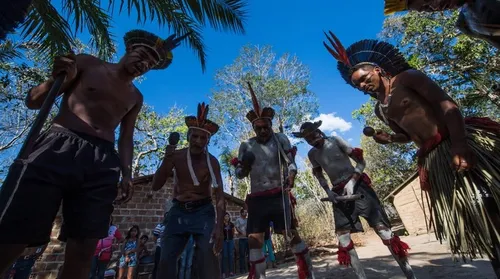 Demarcação de terras indígenas gera impasse em Palmeira dos Índios - Imagem