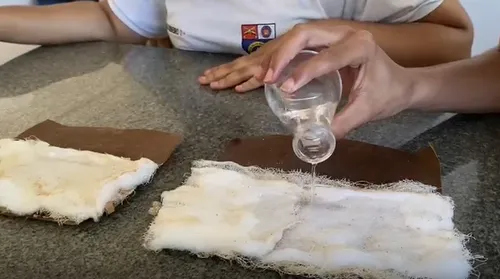 Estudantes de Maceió criam fralda biodegradável feita de coco e cana-de-açúcar - Imagem