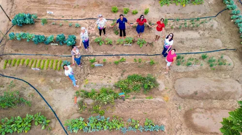 Experiências de Alagoas no combate a mudanças climáticas serão apresentadas na COP30, em Belém - Imagem