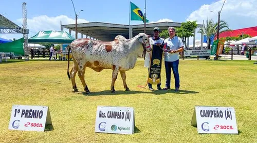 Expoagro 2025 foca em inovação e protagonismo no agronegócio do Nordeste - Imagem