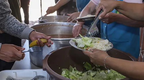 IBGE: 22 mil domicílios deixam insegurança alimentar em Alagoas - Imagem