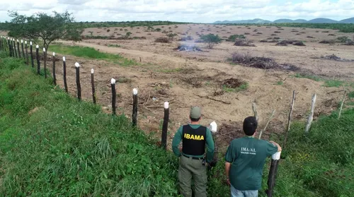 Mata Atlântica perde espaço para agricultura e pecuária em Alagoas - Imagem