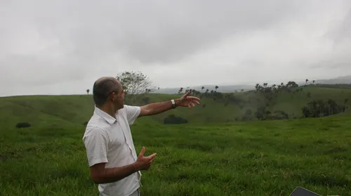Mocambo de Osenga: livro revela o reduto palmarino esquecido em Chã Preta - Imagem