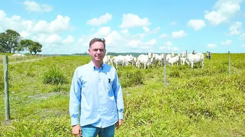 Nelore Positivo completa 21 anos com genética testada a campo e oferta democrática - Imagem