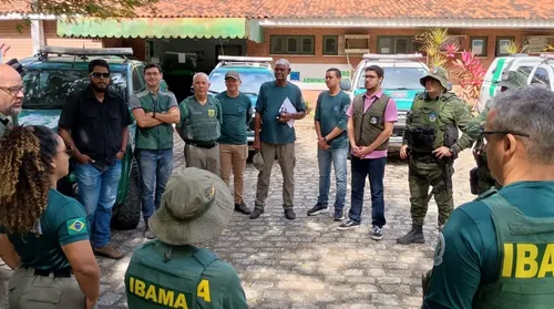 Operação em AL aplica R$ 2,5 mi em multas por desmatamento - Imagem