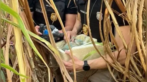 Operação prende quatro suspeitos de crimes em Penedo - Imagem