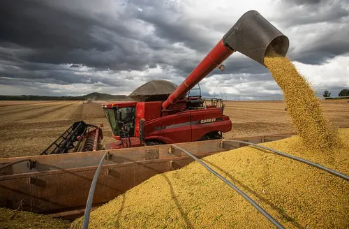 Brasil terá recorde na exportação de soja mesmo com acordo entre China e EUA